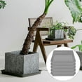 thumbnail image 5 of 5Pcs Square Flower Pot Trays Plastic Catch Excess Water Soil Spills for Flower Pot Tray Indoor Plant, 5 of 5