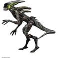 thumbnail image 2 of NECA Figurine Alien Fireteam Elite Spitter, 2 of 2