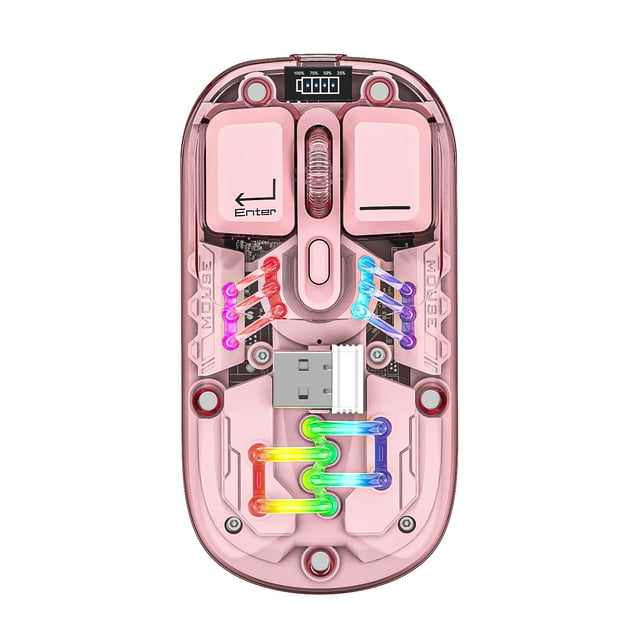 Graflsoa Souris Sans Fil Transparente à Double Mode H118 avec Éclairage RVB, 2,4 G+Bluetooth, 1600 Dpi Réglable, Couverture Magnétique, Charge USB‐C, Batterie 400 mAh, Clics Silencieux, Multiples Options de Couleur