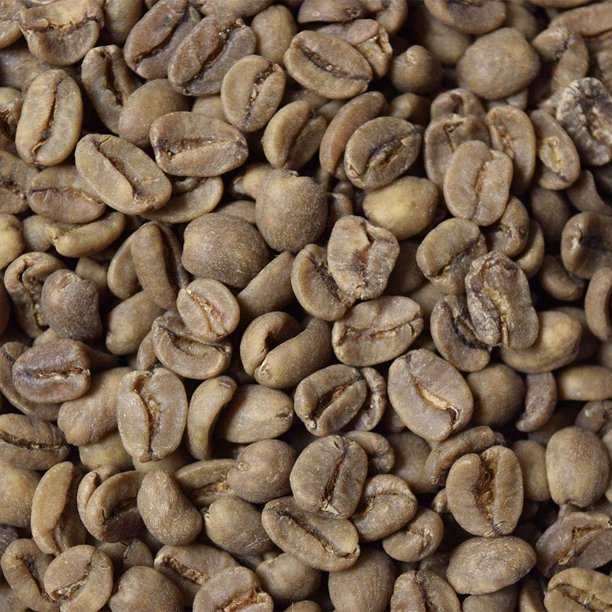 Fresh Roasted Coffee LLC, Organic Green Mexican Coffee Beans, 25 lb Bag