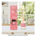 thumbnail image 4 of Difusor Mainstays Sueño Floral 80 Ml, 4 of 4