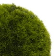 thumbnail image 5 of 15" Round Topiary Artificial Foliage Ball, by DecMode, 5 of 11