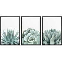 wall26 Framed Wall Art Print Set Green Succulent and Cactus Variety Wilderness Nature Illustrations Modern Art Rustic Closeup Colorful for Living Room, Bedroom, Office Natural - 24"x36"x3 B