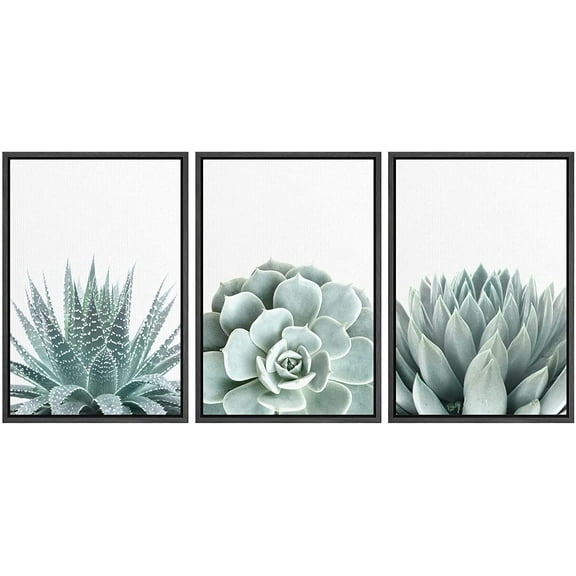 wall26 Framed Wall Art Print Set Green Succulent and Cactus Variety Wilderness Nature Illustrations Modern Art Rustic Closeup Colorful for Living Room, Bedroom, Office Natural - 24"x36"x3 B