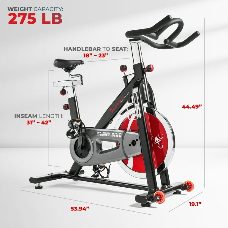weighted flywheel bike