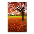 thumbnail image 2 of Trademark Fine Art "Autumn Expressions" Canvas Art by CATeyes, 2 of 4