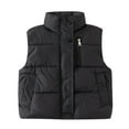 thumbnail image 2 of Hicidod Toddler Down Vest Lightweight Fashion Solid Color Zipper Button Puffer Jackets Winter Warm Sleeveless Casual Coats, 2 of 7