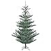 thumbnail image 3 of Vickerman G160460 Alberta Blue Spruce Christmas Tree, 6 ft. x 48 in., 3 of 3