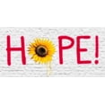 thumbnail image 2 of Masterfunk Collective 14x9 Gold Ornate Wood Framed with Double Matting Museum Art Print Titled - HOPE! (New Orleans), 2 of 4