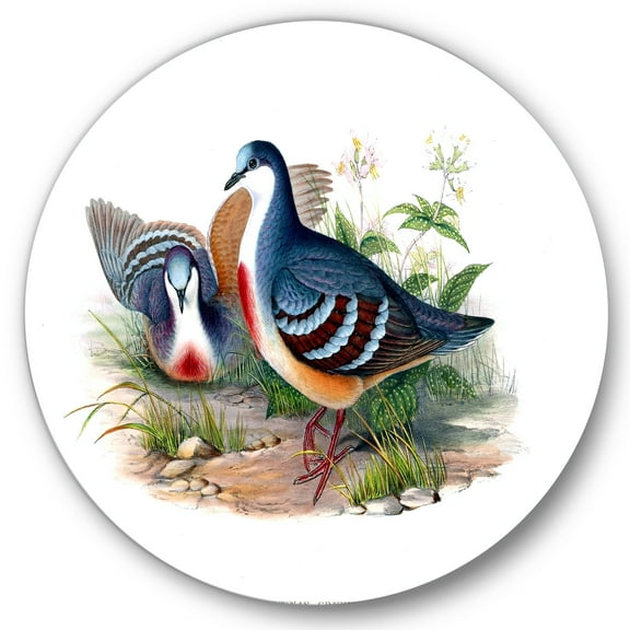 Designart 'Ancient Birds In The Wild IV' Traditional Circle Metal Wall Art 36x36 - Disc of 36