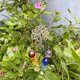 thumbnail image 4 of Crystal Ball Prisms Suncatcher Tree Of Life Window Hanging Ornament Rainbow Maker Pendant For Home, Garden Decoration -aqwg, 4 of 5