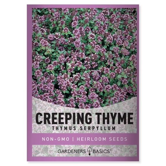 Creeping Thyme Seeds