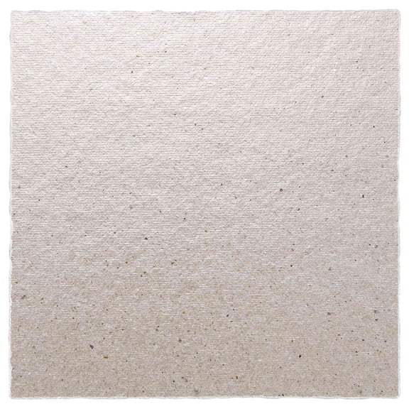 2 x Replacement 12 cm Plate Mica For Microwave