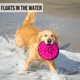 thumbnail image 3 of Juguete para perros Hyper Pet Flippy Flopper 9 Flying Disc Soft x2, 3 of 8