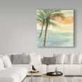 thumbnail image 2 of Trademark Fine Art 'Island Sunset I' Canvas Art by Chris Paschke, 2 of 3
