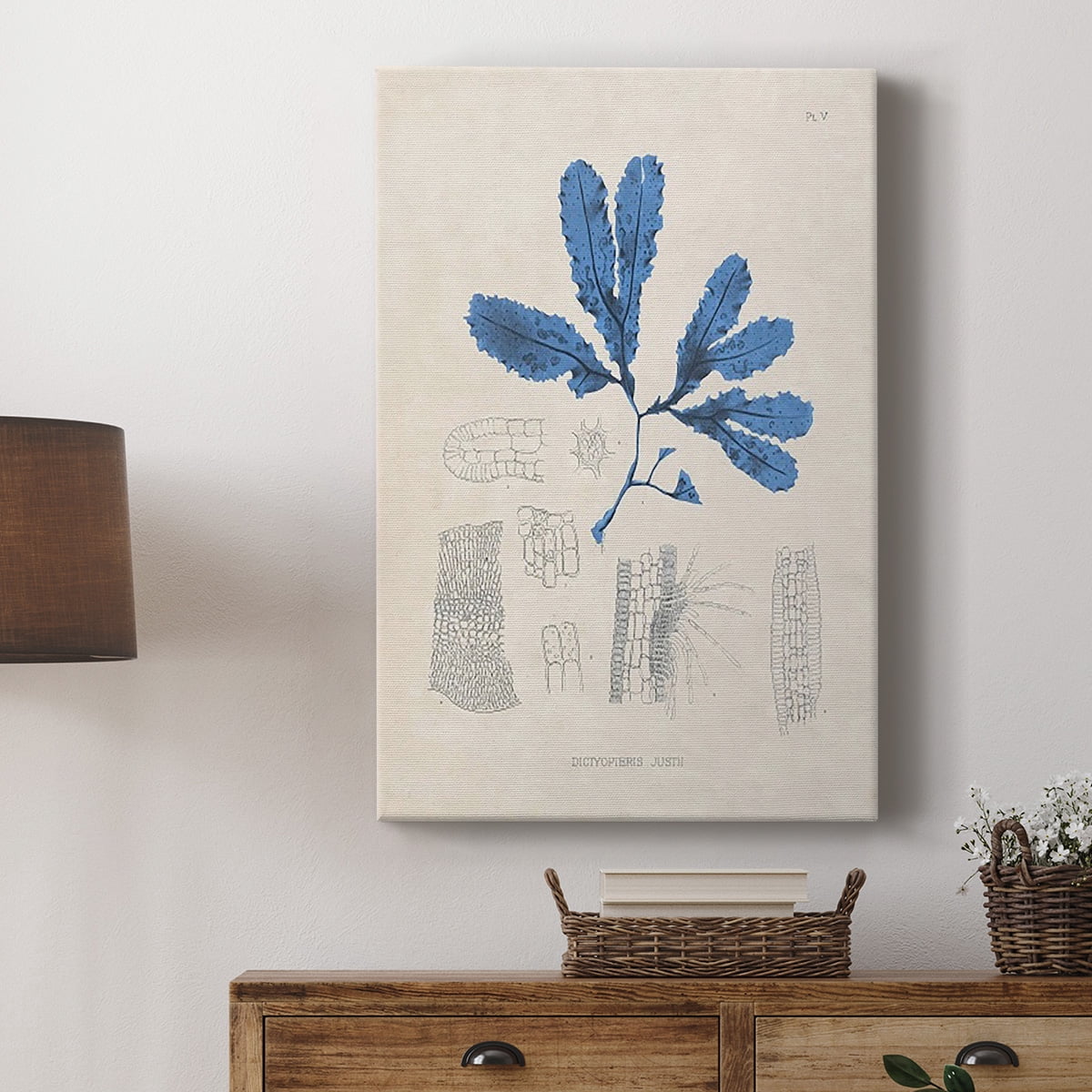 Blue Marine Algae VII Premium Gallery Wrapped Canvas - Ready to Hang