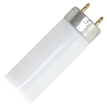 TCP 05771 - 31028850 F28T8/850 4 Foot Plus Straight T8 Fluorescent Tube Light Bulb
