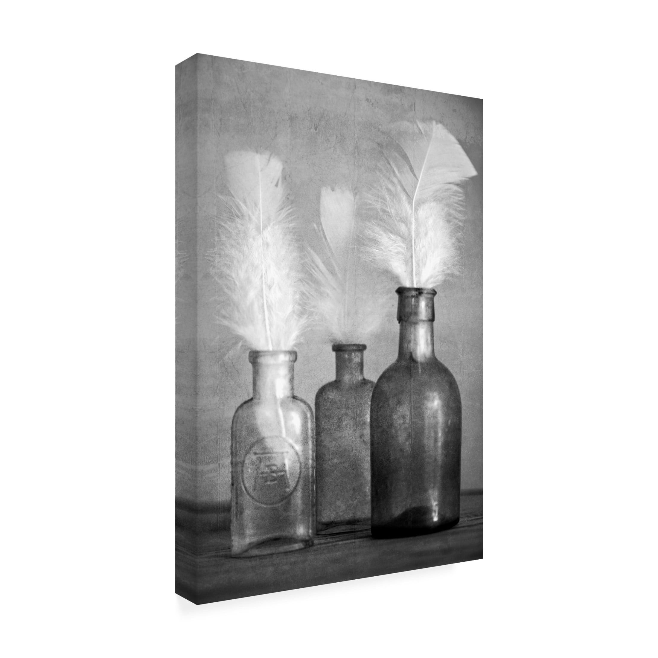 Canvas Wall Art - Tom Quartermaine 'White Feathers in Antique Bottles with Texture' Wall Art for Living Room, Bedroom, or Office Décor by Trademark Fine Art - 16 x 24 Inches