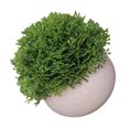 thumbnail image 3 of Bola de césped artificial en maceta, simulación de hierba, decoración de plantas, decoración de la mesa de la oficina en casa, hierba tipo 4, verde tholdsy HA7593-12B, 3 of 6