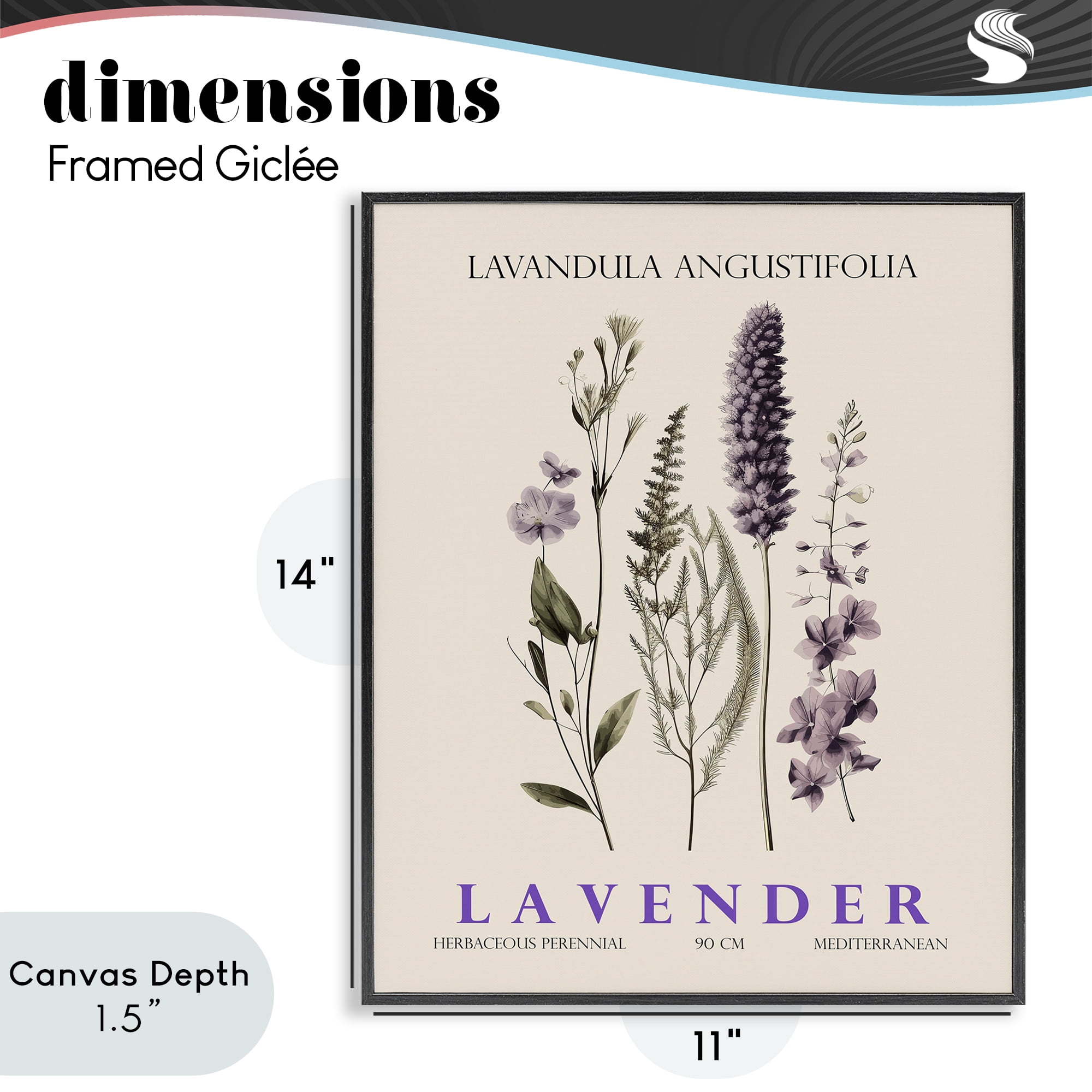 Stupell Industries Natural Lavender Bundle Black Framed Giclee Art, design by Christopher Giampietro