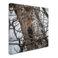 thumbnail image 2 of Trademark Fine Art 'Pileated Woodpecker' Canvas Art by Thom Sivo, 2 of 3