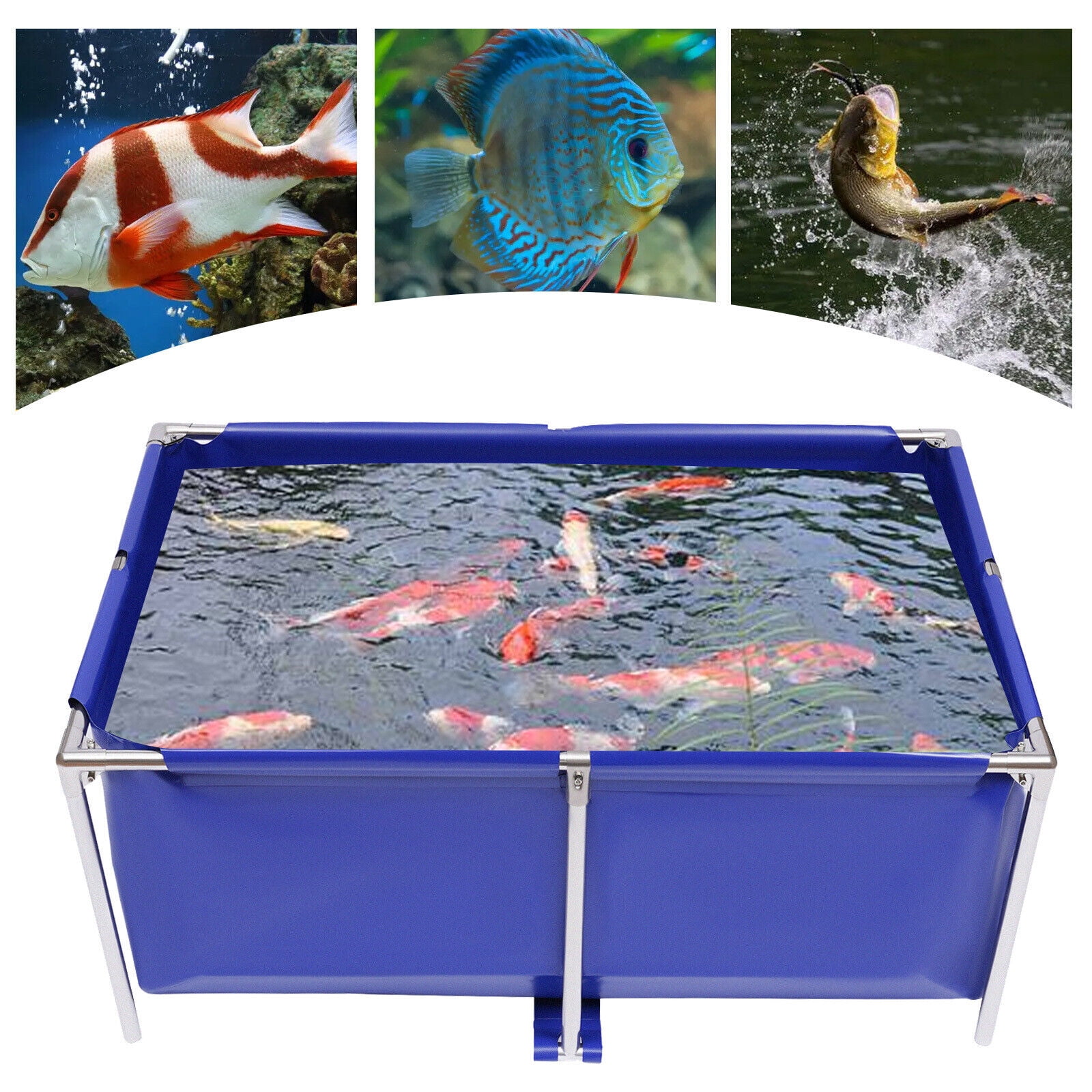 120 Gallon Collapsible Canvas Fish Tank – Large Blue Breeding Pond for Koi, Lobster, and Aquatic Animals – Rust-resistant Stainless Steel Frame with Drain Valve – Portable and Foldable Water Pool