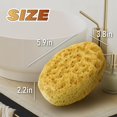 thumbnail image 2 of Esponja de baño MyHomeBody Foam Luofah Body, 3 unidades, 2 of 7