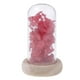 thumbnail image 2 of Flor seca en botella perfecl MicroLandscape rojo, 2 of 8