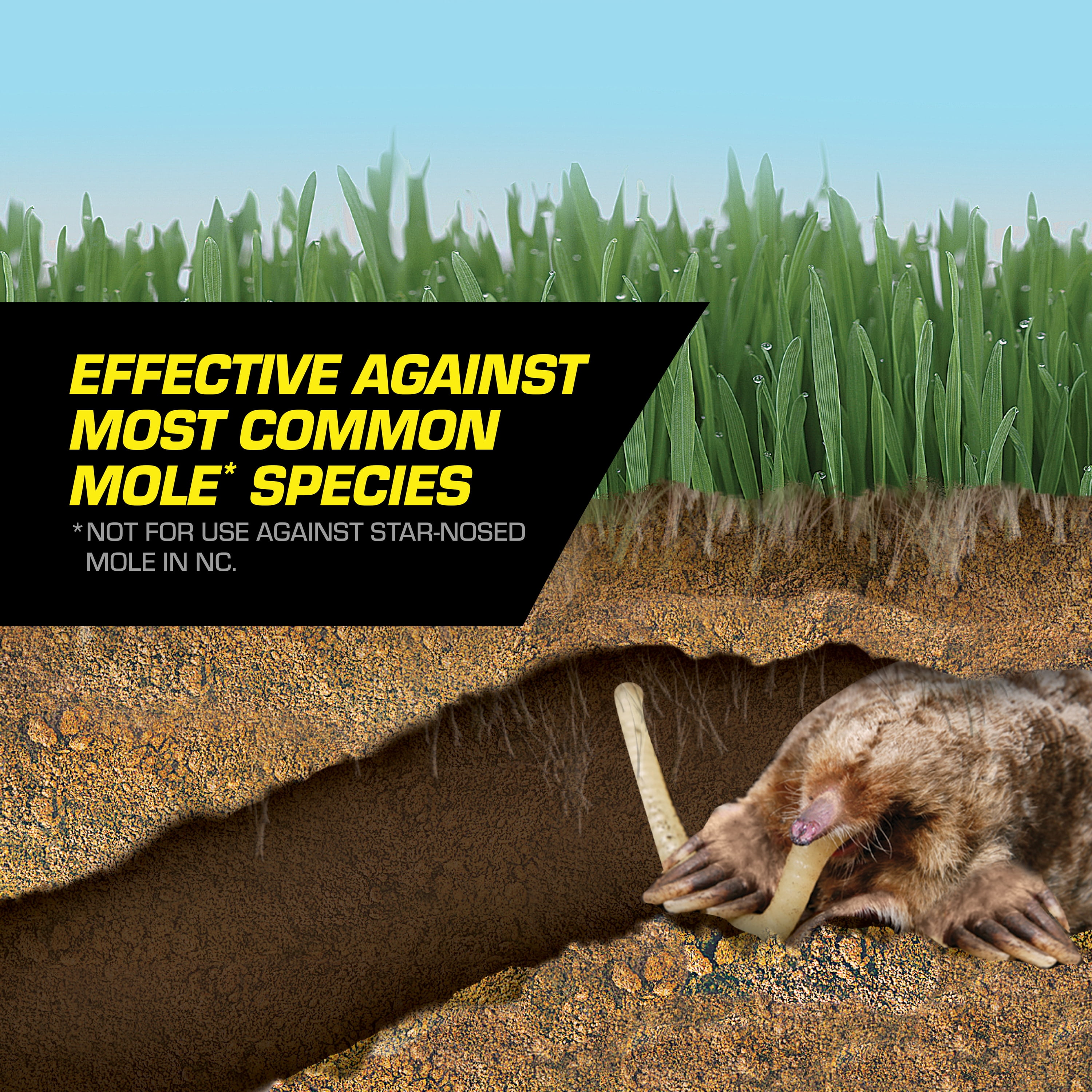 (2 pack) Tomcat Mole Killer(a), Bait Worms, Grubs for Moles, Kills in a Single Feeding, 10-Pack