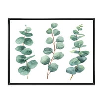 Designart 'Young Eucalyptus Branches and Leaves I' Traditional Framed Canvas Wall Art Print