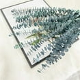 thumbnail image 6 of 116 PCS Mix Dried Eucalyptus with Lavender Flowers Bundles for Shower 17" Natural Real Live Eucalyptus Leaves Greenery Stems & Aromatic Shower Plant for Flower Arrangement ,Bathroom，Home Decor, 6 of 8