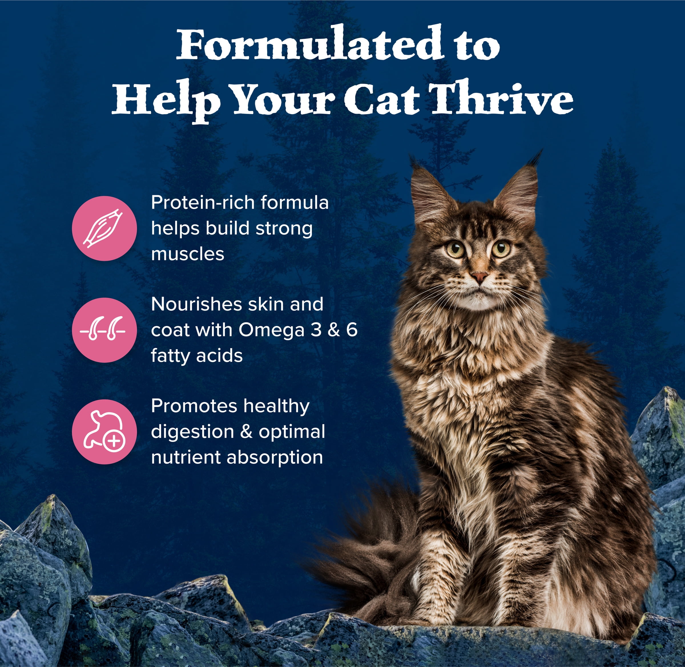 Blue Buffalo Wilderness Natural High Protein Dry Food for Adult Cats, Salmon, 4-lb Bag