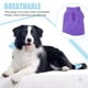 thumbnail image 4 of Methold Ropa para perros Suavidad Suministros para mascotas Transpirable Exquisito Chaleco para cachorros Otoño e invierno Correa Perros Camisetas Ropa Ropa para mascotas Violeta SG Methold PT003793-40B, 4 of 6