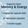 thumbnail image 5 of Life Extension L-Carnitine – 500 mg, Energy Supplement, Memory Supplement – Free Form Amino Acid, Nitric Oxide Support, Healthy Blood Pressure – Gluten-Free, Non-GMO, Vegetarian – 30 Capsules, 5 of 10