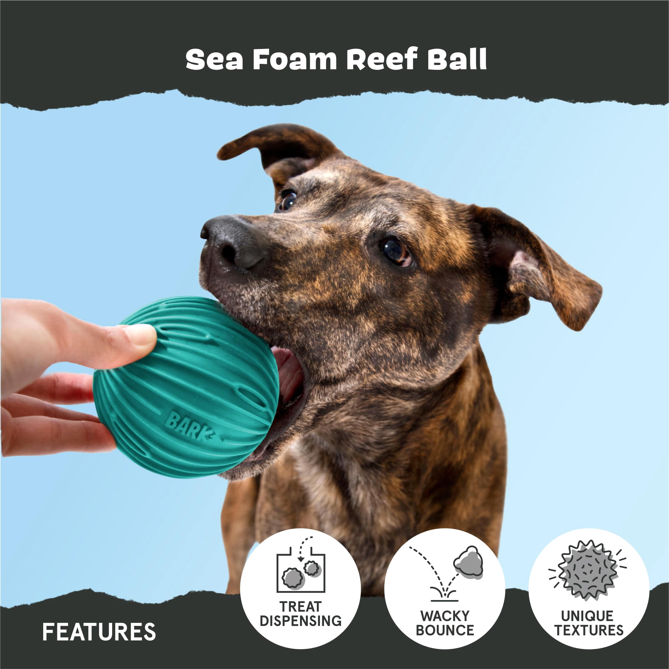 BARK Super Chewer Sea Foam Reef Ball Green Rubber Dog Toy