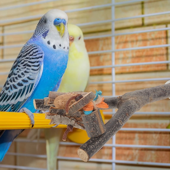 BESTYASH Wood Parrot Perch Stand with Build, Assorted Colors for Bird Cage Decoration and Pet Accessories