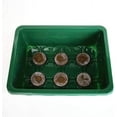 thumbnail image 4 of 2-Piece Greenhouse Set with Ventilation, 12-Hole Seedling Trays & Lids Indoor Plant Propagation Kit, 4 of 7