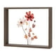 thumbnail image 1 of Marco de Flores Prensadas de Madera, Marco de Imagen Flotante Doble de Acrílico de 8 x 10 Pulgadas para Flores Secas/Tabletop/DIY/Artesanías [Color Nogal], 1 of 7