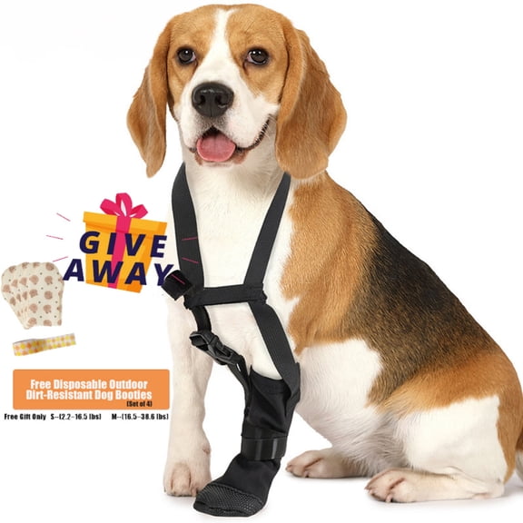 SKIUHS Adjustable Dog Leg Support Brace with Harness – Canine Injury Recovery Leg Stabilizer