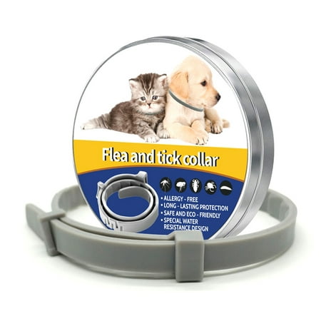 Fysho Pet Flea Prevention Collar, Tick Collar for Dogs and Cats, In Vitro Control of