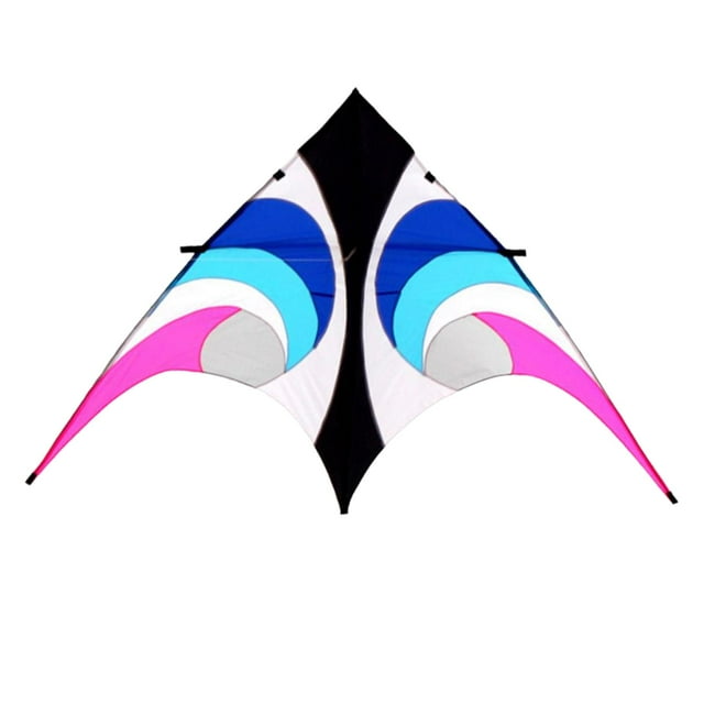 BELOVING Easy to Fly Kite, Large Professional Sports Kite, Easy to Assemble for Beginners