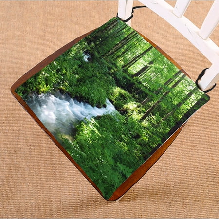 GCKG Clean Stream And Green Forest Chair Pad Seat Cushion Chair Cushion Floor Cushion with Breathable Memory Inner Cushion and Ties Two Sides Printing (Best Way To Clean Outdoor Cushions)