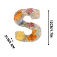 thumbnail image 2 of Blukids Floral 26 Letters Resin Night Light, Dried Flower Letters Night Light, Pressed Flower Letters with LED Light for Mother Wife, Personalized Name Creative Letter Lamp Birthday Party Decor(S), 2 of 4