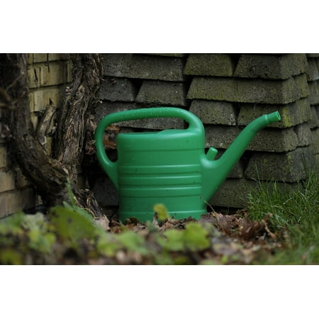 - LAMINATED POSTER Garden Tool Green Jug Watering Can Poster Print 24 x 36