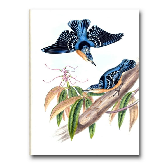 Designart ' Vintage Countryside Birds On Branch V ' Farmhouse Canvas Wall Art Print