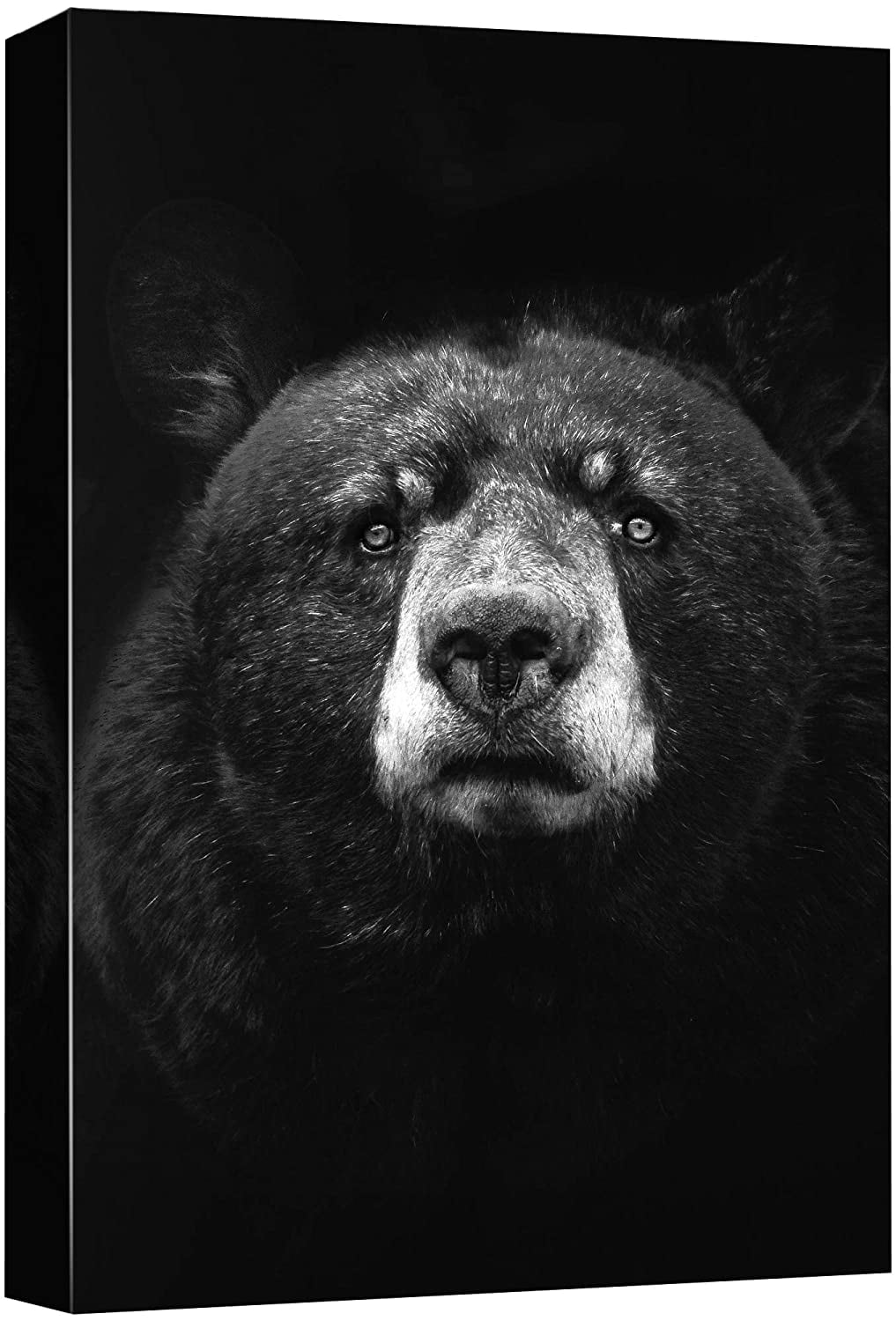 C Home Decor Wall Art Grizzly Bear Jumping Art Print / Canvas Print Poster C Home Decor Wall Art Grizzly Bear Jumping Art Print / Canvas Print Poster