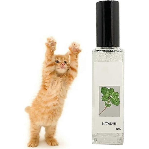 Herbal Cat Joy Spray, Pets Catnip Spray, Herbal Cat Joy, Catnip Spray For Cats, Catnip Calming Spray, Catnip Spray For Indoor Cats