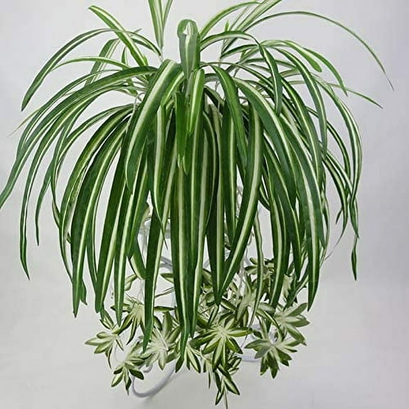 Morttic 2Pcs Artificial Chlorophytum, 25.5in Faux Plant Hanging Basket Simulation Ivy Green Leaves Fake Wall Hanging Plants for Home Garden Office Verandah Wedding Decoration