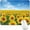 sunflowers, variant on Colorful Flower Abstract XL Gaming Mousepad 31.5x11.8in Long Extended Desk Mat Non-Slip Rubber Base Ideal for Gaming & Office PC/Laptop
