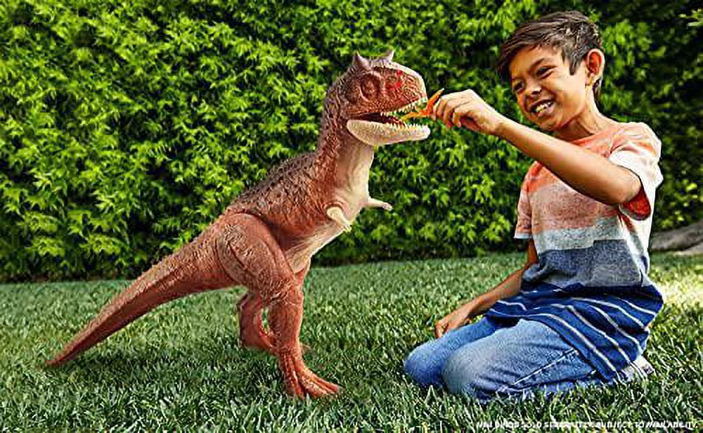 ​Jurassic World Colossal Carnotaurus Toro Dinosaur Action Figure Camp Cretaceous with Stomach-Release Feature, 36-in/91-cm Long, Realistic Sculpting, Kid Gift Age 4 Years & Up